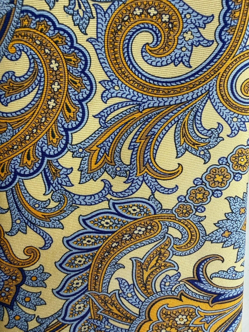 Embassy Row Classic Paisley Silk Tie in Yellow and Blue